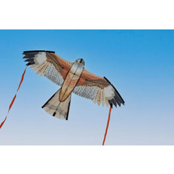 Spiderkites Υφασμάτινος Χαρταετός Ready to Fly - Γεράκι Milan 41001