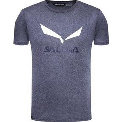 Salewa Solidlogo Ανδρικό Αθλητικό T-Shirt Μπλε 27018-3986
