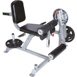 Amila Leg Extension 93703