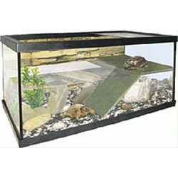 Γυάλινη Χελωνιέρα με Ράμπα C/G (60x31x26cm) Κωδικός: 13696427