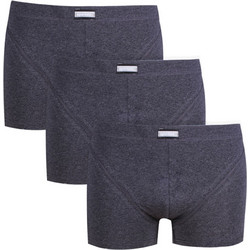 Minerva Ανδρικά Μποξεράκια Σετ 3Pack Ανθρακί 90-23026-030B