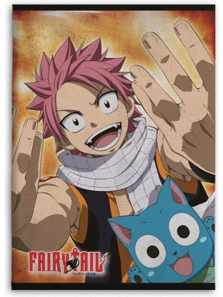 FAIRY TAIL - Natsu & Happy - Polar Fleece 100x140cm