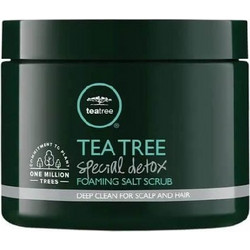 Paul Mitchell Tea Tree Special Detox Μάσκα Μαλλιών 184gr
