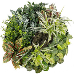 VARIOUS PLANTS ROUND WALL DISC 20691 Τεχνητό Διακοσμητικό Στρογγυλό Πάνελ Φυλλωσιάς - Κάθετος Κήπος Μιξ Μ60 x Π60 x Υ20