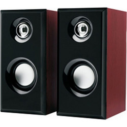 Leerfei YST-1014 Ηχεία Υπολογιστή 2.0 6W Black Dark Brown