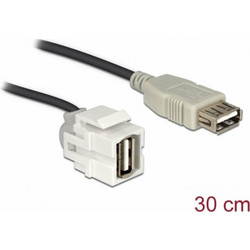 Keystone Module Delock USB 2.0 A fem to USB 2.0 A fem 250 with cable - Λευκό 86329