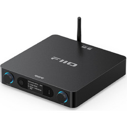 Fiio BR15 R2R