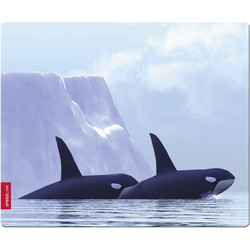 Speedlink Orca SL-6242-ORCA