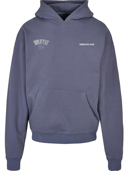Birds Of Peace Hoody vintageblue