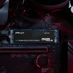 PNY CS2230 SSD 500GB M.2 NVMe PCI Express 3.0