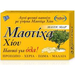 Pan Mastic Σαπούνι 100gr