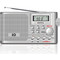 IQ PR-133 Silver