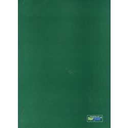 For You - Τετράδιο Ραφτό Ριγέ B5 2 Θέματα 64 Φύλλα 80gr, Πράσινο 98641