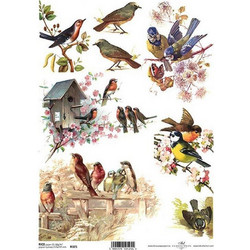 Ριζόχαρτο birds 21x29εκ. (ITD-R325)