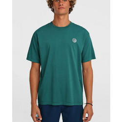 O'Neill M O'Riginals Vintage Graphic T-Shirt (2850346-15097)
