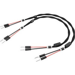 Esprit Aura Speaker Cable 2M