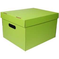 Νext κουτί colors λαχανί Α4 Υ19x30x25,5εκ