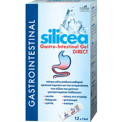Hubner Silicea Gastro-Intestinal Gel Direct 12x15ml