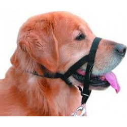 Trixie Top Trainer Εκπαίδευσης Ιμάντες XL