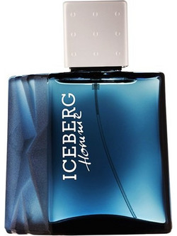 Iceberg Homme Eau de Toilette 100ml