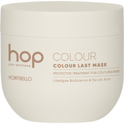 Hop Colour Last Μάσκα Μαλλιών για Προστασία Χρώματος για Βαμμένα μαλλιά 500ml