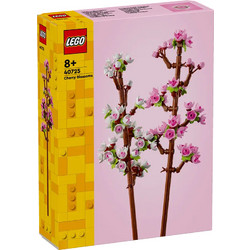 Lego Botanicals Cherry Blossoms για 8+ Ετών 40725