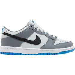 Nike Dunk Low GS Παιδικά Sneakers Λευκά Ανθρακί FB9109-001