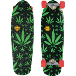 Long Island Men Roots Cruiser