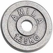 Amila Δίσκος Μεταλλικός 1.25kg Φ28mm