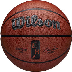 Wilson NBA Authentic City Chicago WZ2016002XB