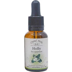 Crystal Herbs Holly Ανθοΐαμα σε Σταγόνες 25ml