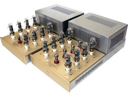 Canary Audio M3000 Monoblock Τελικός Ενισχυτής 1.0