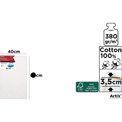 ArtiX Paints Καμβάς Ζωγραφικής σε Τελάρο Βαμβακερός Λευκός 40x80cm