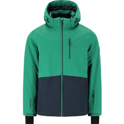Whistler Ανδρικό Μπουφάν Χειμωνιάτικο Puffer Πράσινο W2333185-3253