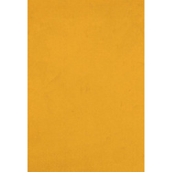 Canson Colorline Χαρτόνι Κανσόν Κίτρινο 50x70cm 105741032