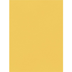 Favini Χαρτόνι Κανσόν Κίτρινο 50x70cm 831.5070.02T