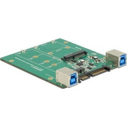 DeLOCK 62732 Converter SATA / USB3.1 Type-B Female to M.2 / mSATA