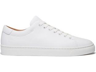 Timberland Dover Park Low Ανδρικά Sneakers Λευκά TB0A5MJSEM210