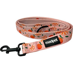 Madpet Mandarin Λουρί Σκύλου 1.52m x 15mm Κοραλί