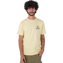 Hurley Ανδρικό Αθλητικό T-Shirt Μπεζ MTS003568-H713