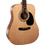 Cort AD810 Natural