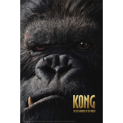 POSTER KONG THE 8TH WONDER OF THE WORLD