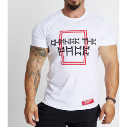 Evolution Body 2511 White