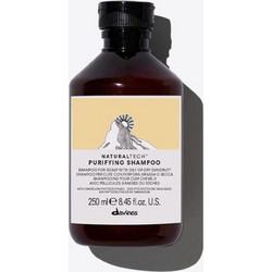 Davines Natural Tech Purifing Σαμπουάν κατά της Πιτυρίδας για Ταλαιπωρημένα Μαλλιά 250ml