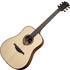 LAG T318D Tramontane Dreadnought