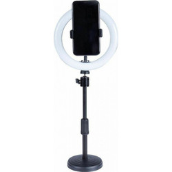 XO SMN-8 BGD002