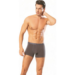 Boxer 4Dude Ανδρικό Μποξεράκι Ανθρακί DD1200