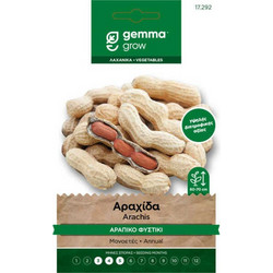 Αραχίδα-Αράπικο Φιστίκι 10g Σπόροι Φακελάκι (Arachis hypogaea 'Runner')