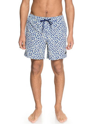 DC All Season 17'' Boardshorts Ανδρικό Μαγιό Σορτς με Σχέδια Μπλε EDYJV03023-BYB0