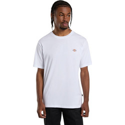 DICKIES M SS MAPLETON T-SHIRT - DK0A4XDBWHX1
